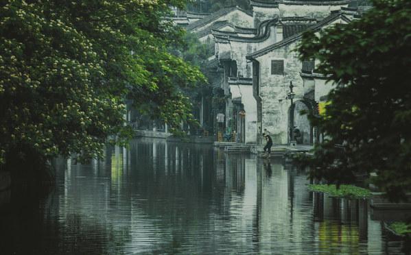 蓝狐视频